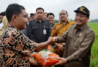 Antisipasi Bencana, Kemtan Distribusikan Gratis Benih Padi